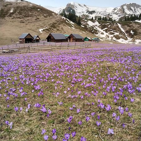 Katun Siska Medna Dolina Berane Exterior foto