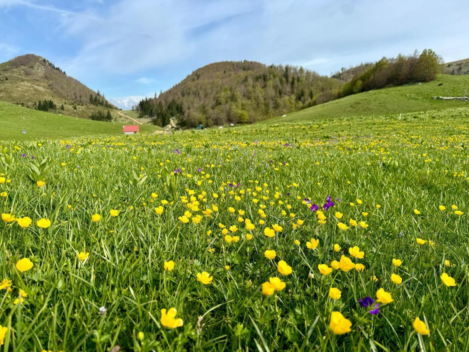 Katun Siska Medna Dolina Berane Exterior foto