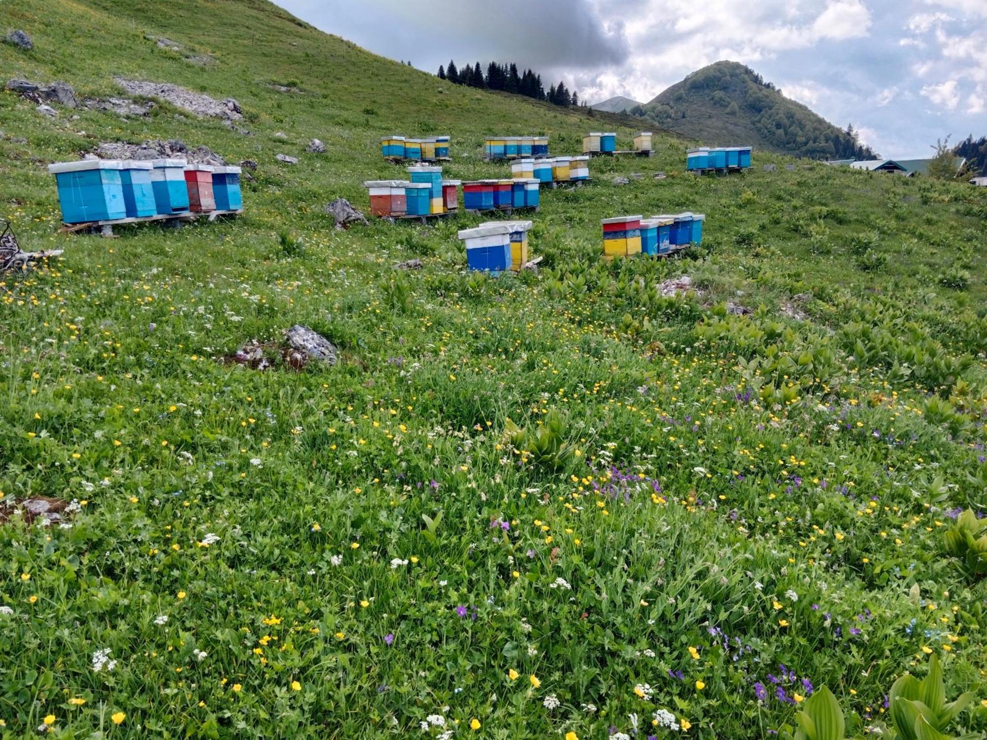 Katun Siska Medna Dolina Berane Exterior foto