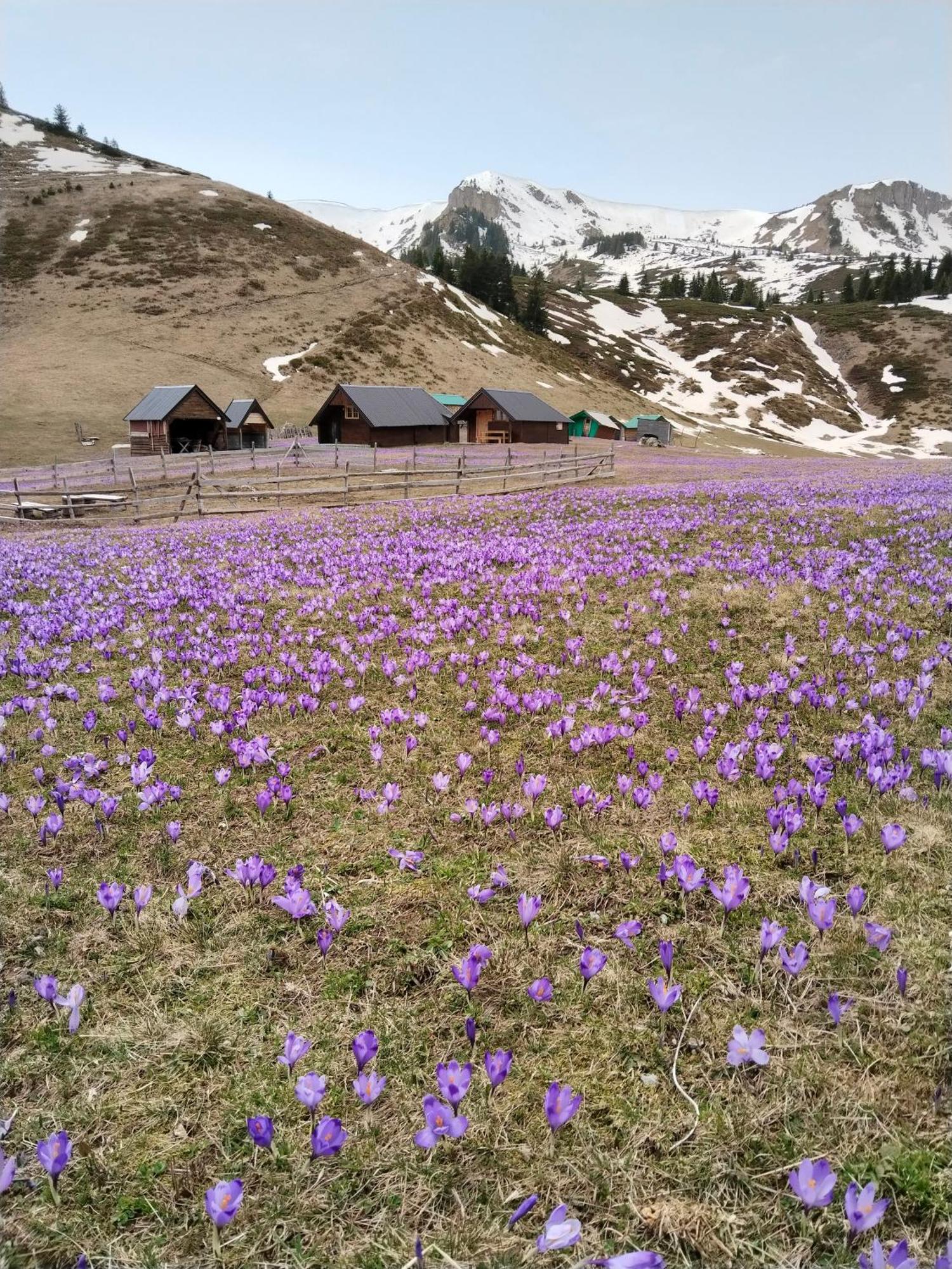 Katun Siska Medna Dolina Berane Exterior foto